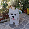 PawPlanter™ Green Pet Oasis