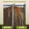 Organic Plant Fertilizer | VitalBloom™ Growth Booster with Enzymes & Minerals for Strong Roots & Lush Blooms