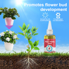 Organic Plant Fertilizer | VitalBloom™ Growth Booster with Enzymes & Minerals for Strong Roots & Lush Blooms