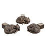 PotStand™ Healthy Root Support