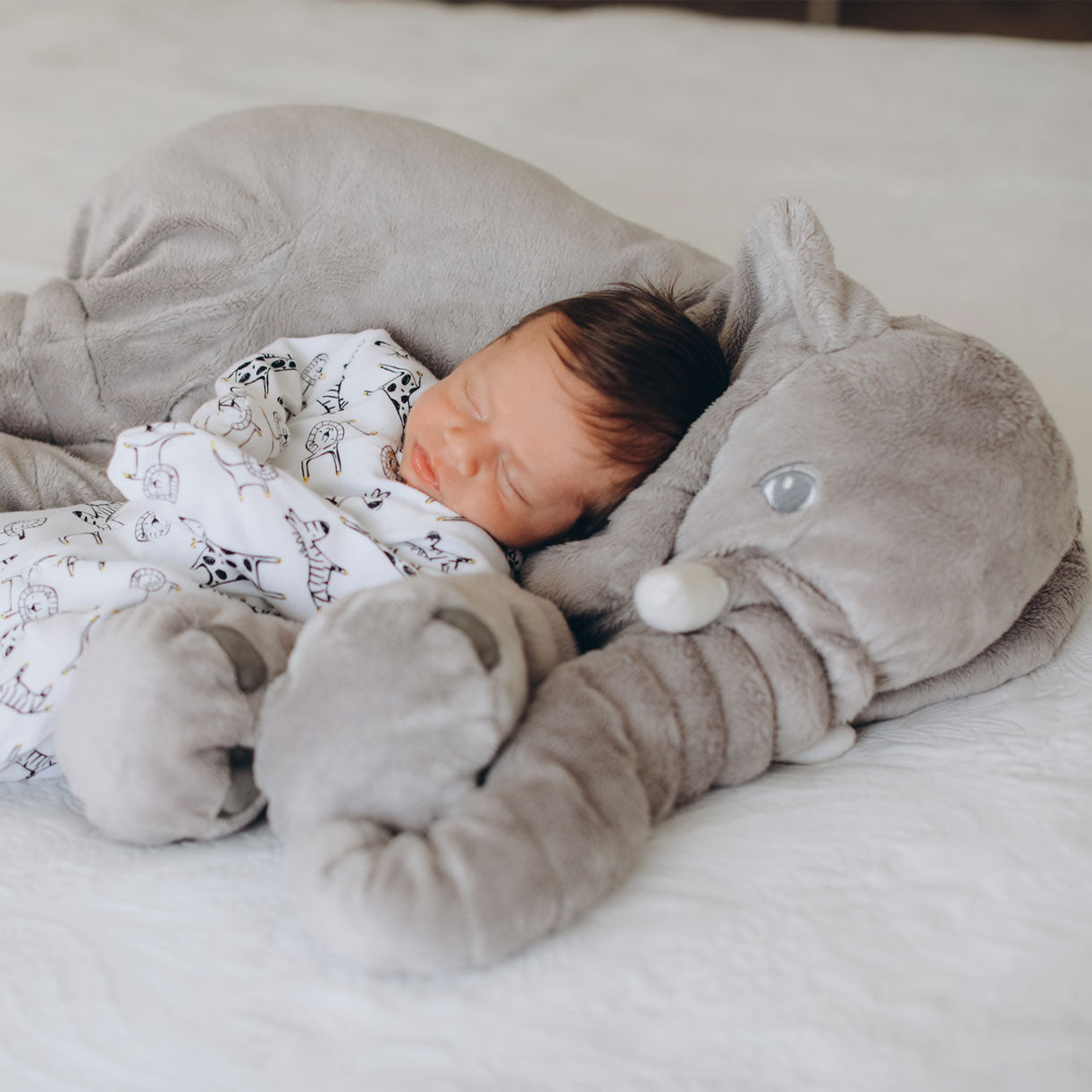SoftJumbo™ Snuggly Comfort Cushion