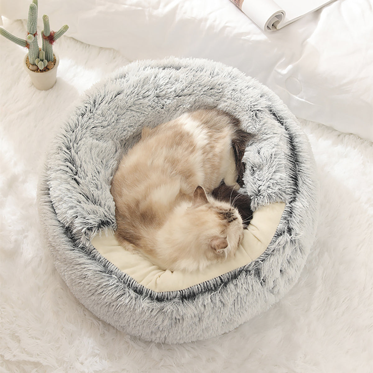 Snugpaws™ - Comfort for Your Pet's Recovery