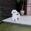 PawPlanter™ Green Pet Oasis