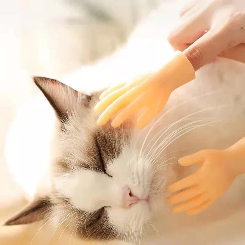 CatPal™ Instant Cat Engagement
