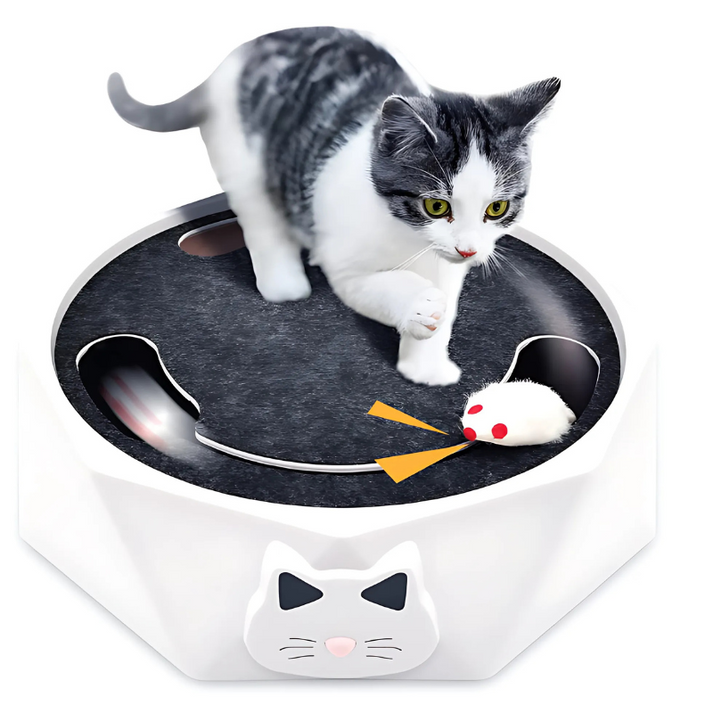 CatSprint™ Interactive Playtime Delight