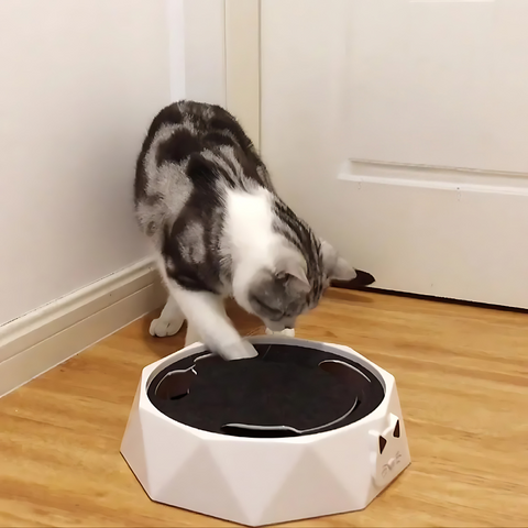 CatSprint™ Interactive Playtime Delight