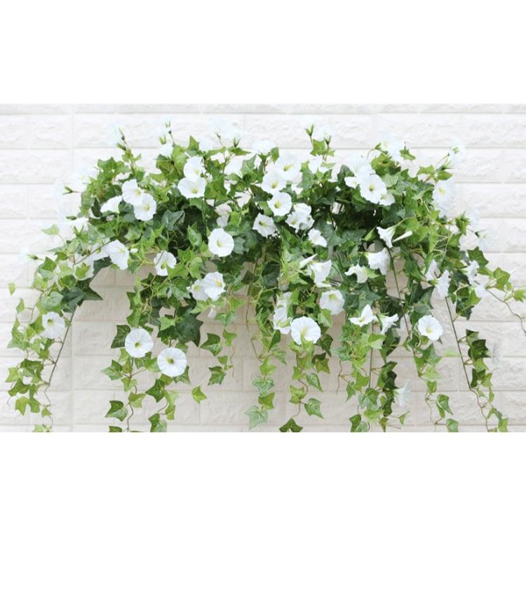 GloryBloom™ Everlasting Floral Beauty