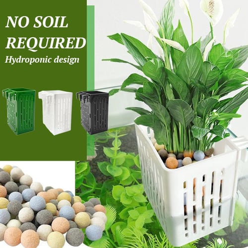 1+1 Free | PlantPod™ Grow Green Underwater