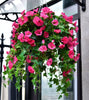 GloryBloom™ Everlasting Floral Beauty