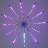 Firework LED Lights