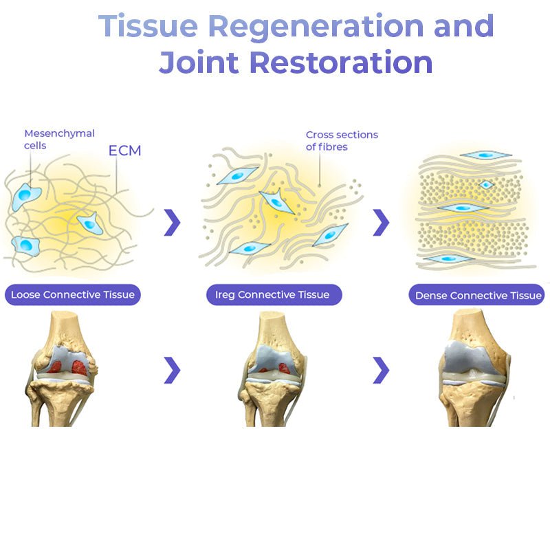 JointEase™ Rapid Relief and Recovery (1+1 Free)