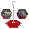 Hummingbird Feeder With Perch And Built-in Ant Moat