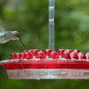 Hummingbird Feeder With Perch And Built-in Ant Moat