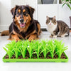 TidyFeast™ Pet-Friendly Meal Pad