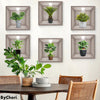 PlantArt™ Vibrant Garden Accent