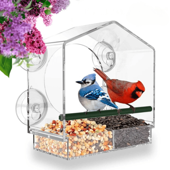 FeatherFeast™ Clear Feeding Delight