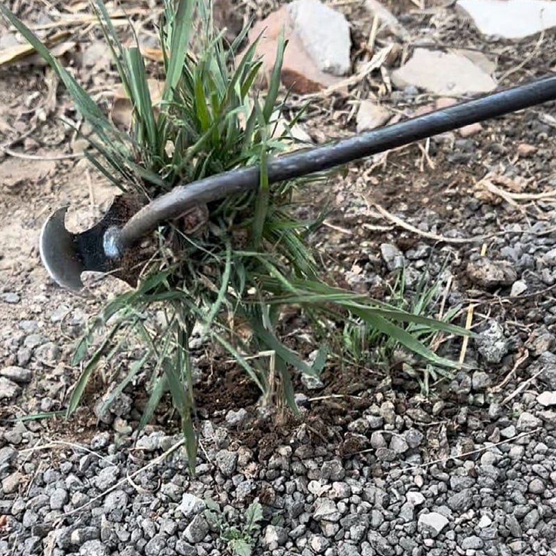 WeedMaster™ - Your Ultimate Weeding Tool