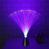 Multicolor LED Fiber Optic Lamp