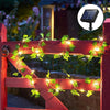 Solar decorative lights