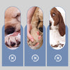 PawSocks™ Comfy Paw Protection