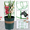 PlantBuddy™ Healthy Plant Growth
