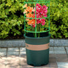 PlantBuddy™ Healthy Plant Growth