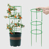 PlantBuddy™ Healthy Plant Growth