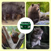 Solar Animal Repellent Device | Flashing LED & Sound Alarm | Outdoor Weather-Resistant