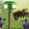 Solar Animal Repellent Device | Flashing LED & Sound Alarm | Outdoor Weather-Resistant