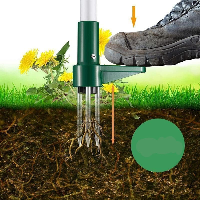 Standing Plant Root Remover